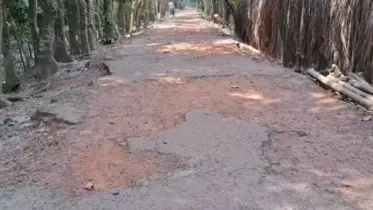 রামগঞ্জে রাস্তার বেহাল দশা, ভোগান্তিতে হাজারও মানুষ