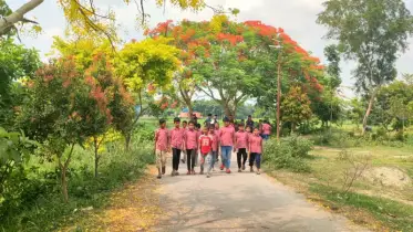 নবীনগরে রাস্তার দুই পাশে রঙিন ফুলের সৌন্দর্যে মুগ্ধ পথচারীরা