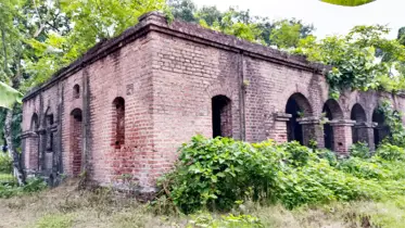 নীল, নথি ও নগরের উন্মেষ