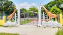 নিষ্প্রাণ উপজেলা প্রশাসন প্রাঙ্গন যেন প্রাণের সঞ্চার! 