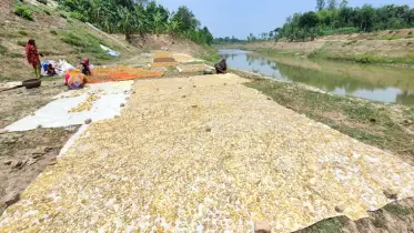 আলুর চিপস বানিয়ে স্বাবলম্বী ৪০০ পরিবার