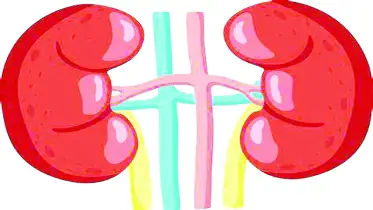 কিডনি ড্যামেজ
