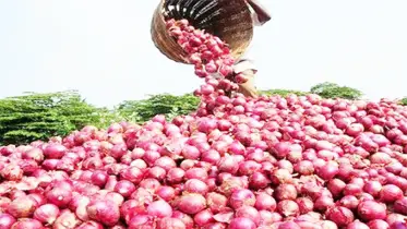 পেঁয়াজের বাজারে কারসাজি