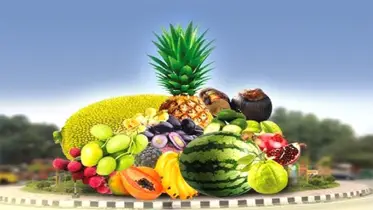 দেশীয় ফলের বাণিজ্যিক চাষ