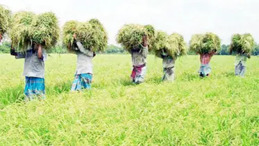 অবহেলিত পেশা- কৃষি