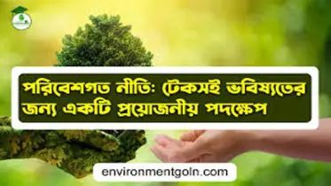 পরিবেশ সংরক্ষণ ও টেকসই উন্নয়ন