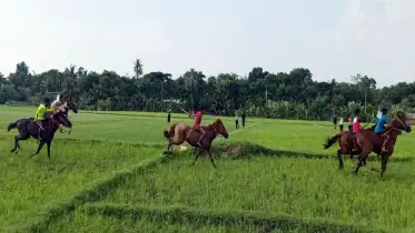 ঘোড়ার দৌড়ে তালার মাঠে উৎসবের আমেজ