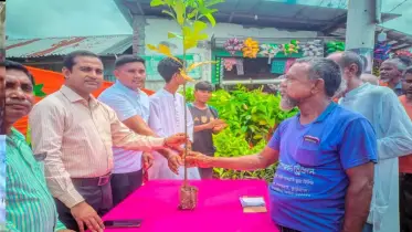 প্লাস্টিক দিয়ে চারাগাছ! রাজারহাটে এমন উদ্যোগ আগে কেউ দেখেনি!