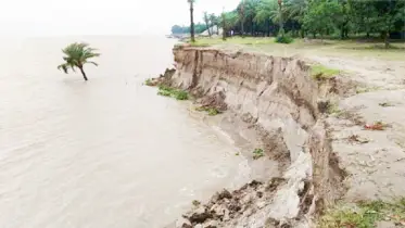 নদীভাঙনে দিশাহারা জনজীবন