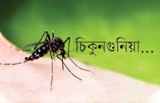 চিকুনগুনিয়া, ডেঙ্গু ও জিকা রোগের উচ্চ  ঝুঁকিতে চট্টগ্রাম