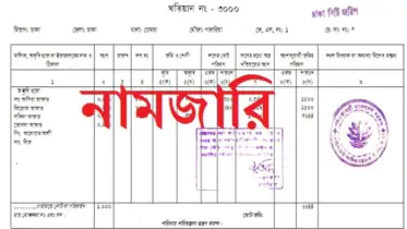 নামজারীর সময় ইউনিয়ন ভূমি অফিস কী কী অবশ্যই দেখবে?