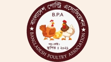 আগামী মাস থেকে সারা দেশে ডিম-মুরগির উৎপাদন বন্ধ ঘোষণা