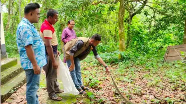 ধান খেতে হঠাৎ বিশাল অজগর!বনে অবমুক্ত