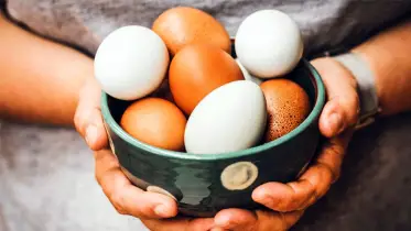 গরমে ডিম খেলে কি শরীরের তাপ বাড়ে? 