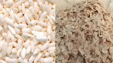 ডায়াবেটিসে চিঁড়ে না মুড়ি? চিকিৎসক জানালেন কোনটা খেলেই বিপদ!