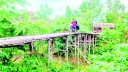 ৫৩ বছরেও সেতুর স্বপ্ন অধরা