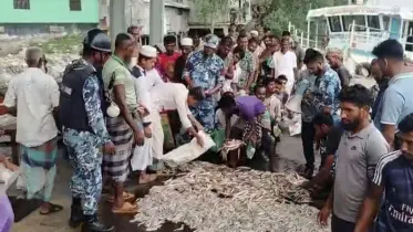 কলাপাড়ায় কোস্টগার্ডের অভিযানে ১২ মণ মাছ জব্দ