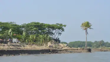 চালিতাবুনিয়ায় ভিটেবাড়ি হারা মানুষের নীরব আর্তনাদ