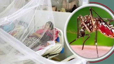বরিশালে একদিনে ১৩৮ জন ডেঙ্গু আক্রান্ত