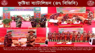 দৌলতপুর সীমান্তে বিজিবি-বিএসএফ সেক্টর কমান্ডার পর্যায়ের সৌজন্য সাক্ষাৎ অনুষ্ঠিত