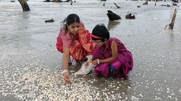 সৌন্দর্যে ভরা কুয়াকাটা ঝিনুক বিচ পর্যটকদের জন্য উন্মোচিত স্বর্গ