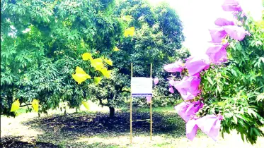 পরিবেশবান্ধব গবেষণায় সাফল্য