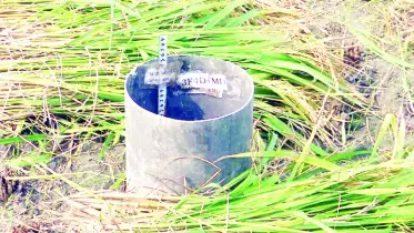 আর্সেনিকপ্রবণ এলাকায় নিরাপদ ধান উৎপাদনে সাফল্য
