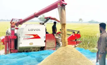 ধানকাটা মাড়াইয়ে বাড়ছে কৃষিযন্ত্রের ব্যবহার