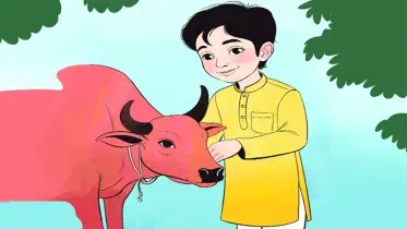 পশুকে আদর-যত্নে রাখুন
