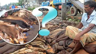 অব্যবস্থাপনায় চামড়া শিল্পের ভবিষ্যৎ