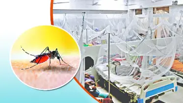 ডেঙ্গুজ্বর ॥ প্রতিরোধ ও চিকিৎসা