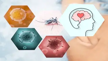 চিকুনগুনিয়া ॥ প্রতিরোধই উত্তম