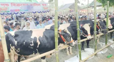 শেষ মুহূর্তে জমজমাট কোরবানির হাট, ভিড়ে ঠাঁই নেই ক্রেতা-বিক্রেতার