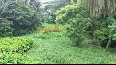 ফরিদপুরে দরবেশের জোলা দখল, যা ছিল ২৫ হাজার মানুষের পানির একমাত্র  অবলম্বন
