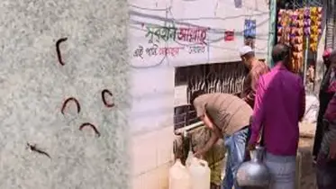 ওয়াসার পানিতে দুর্গন্ধ ও পোকা