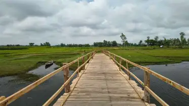 কুড়িগ্রামের কাউয়াহাগার ঘাটে নদী পারাপারে কাঠের সেতুই ভরসা