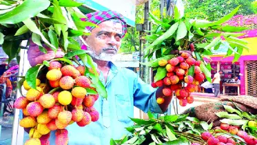 টক-মিষ্টি স্বাদের লোভনীয় ফল, দাম আকাশছোঁয়া