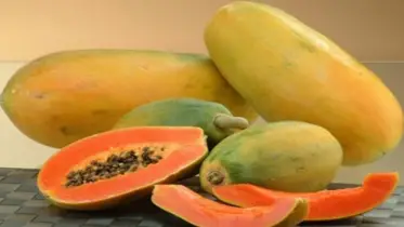 প্রতিদিন একটুকরো পেঁপে, দূরে থাক ১০টি শারীরিক সমস্যা