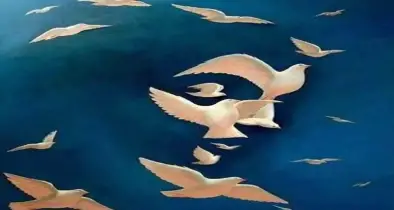 ভালোবাসার মানুষটি আদতে কেমন? মুহূর্তেই বলে দেবে ভাইরাল হওয়া এই ছবি