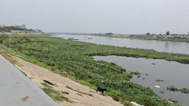 তুরাগ নদীতে মিলছে না দেশীয় প্রজাতির মাছের দেখা