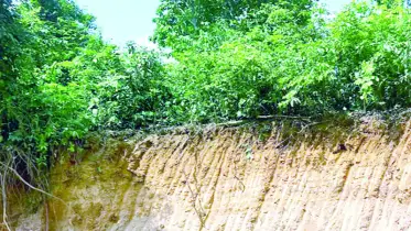 উখিয়ায় সড়ক নির্মাণের অজুহাতে পাহাড় কেটে সাবাড়