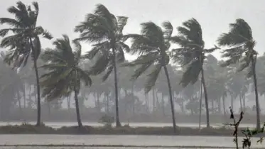 সকাল ১০টার মধ্যে যেসব জেলায় তীব্র ঝড় বইতে পারে