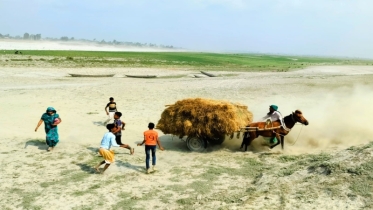 পাবনার যমুনা চরাঞ্চলের একমাত্র ভরসা ঘোড়ার গাড়ি