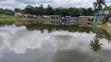 ঐতিহ্য হারাচ্ছে পানপাড়া দিঘি