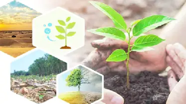 মানবজাতি কি অক্সিজেন সংকটে পড়তে যাচ্ছে