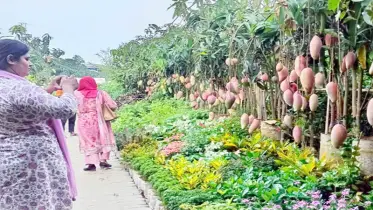 জাতীয় পরিবেশ ও বৃক্ষমেলা-২০২৫