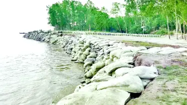 সিরাজগঞ্জে যমুনায় ভাঙনে বাড়িঘর বিলীন