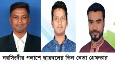 সাবেক সেনা সদস্যকে মারধরের অভিযোগে নরসিংদীতে ছাত্রদলের ৩ নেতা গ্রেপ্তার