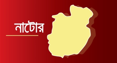 নাটোরে চার হাত, চার পা ও দুই মাথা নিয়ে জমজ শিশুর জন্ম