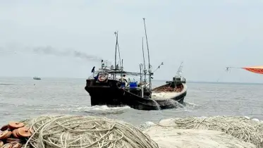 জালে নেই ইলিশ, ঋণের জালে চরফ্যাসনের লক্ষাধিক জেলে